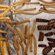 Various french fries on baking tray